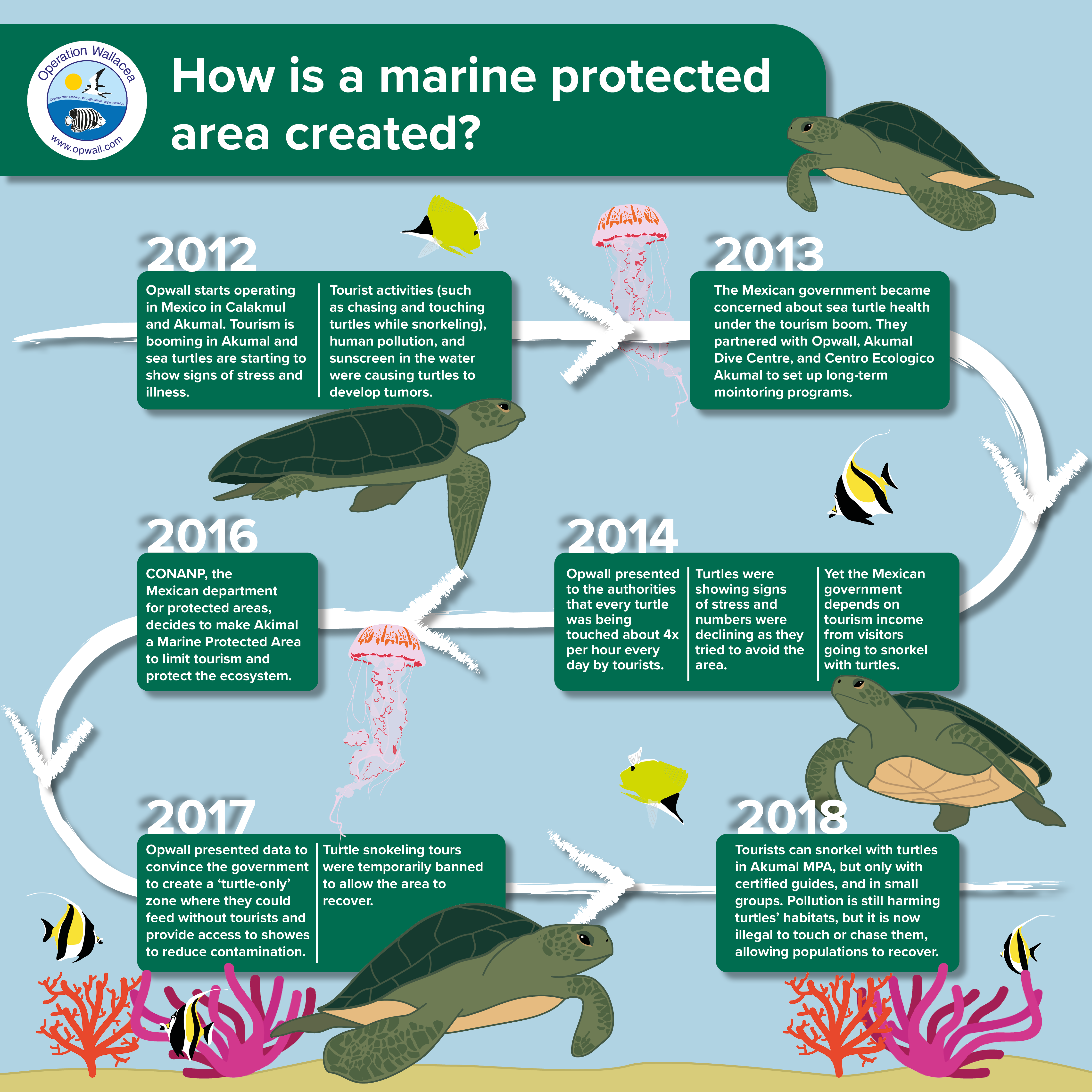 Conservation and Ecological Insights - contextual illustration