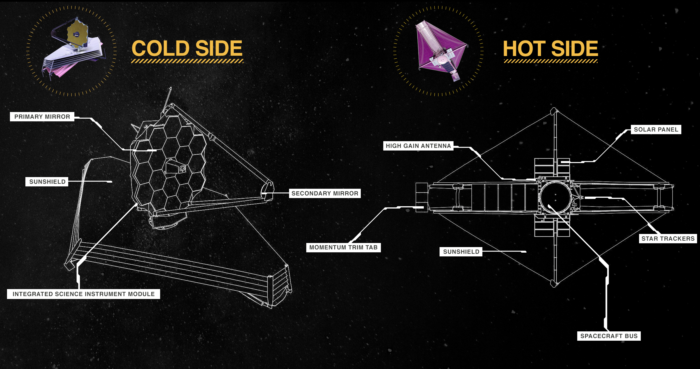 Terzan 5: From Globular Cluster to Fossil Fragment - visual representation