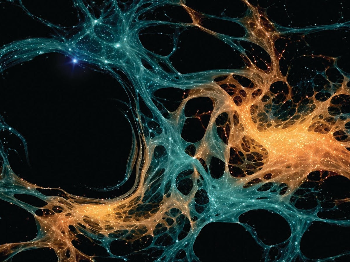 The Future of Cosmic Void Research - visual representation