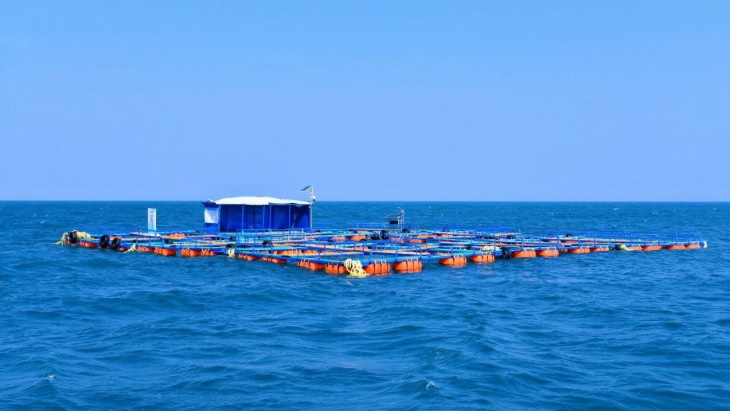 Policy and Regulatory Implications - visual representation