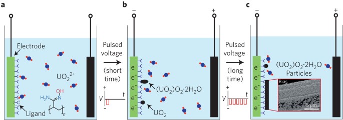 TL; DR Summary - visual representation