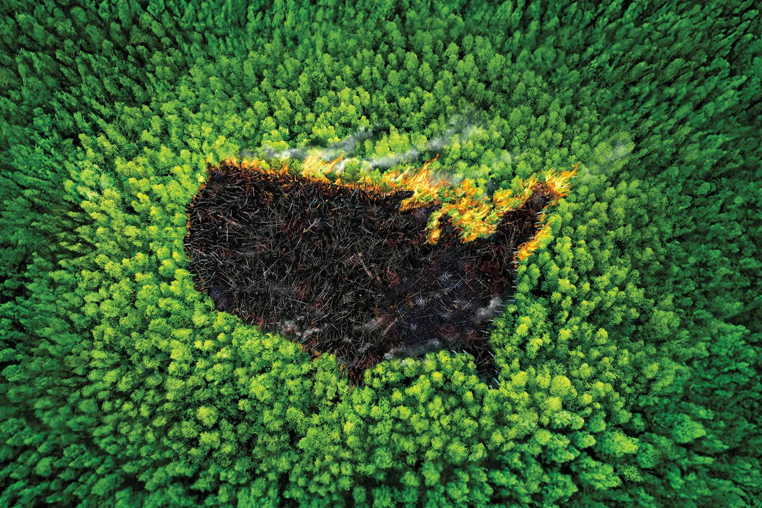 The Economic Question: Real Savings vs. Soft Power Loss - visual representation