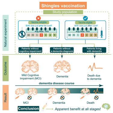 The Surprising Correlation Between Vaccines and Dementia - contextual illustration