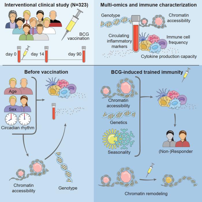 Conclusion - visual representation