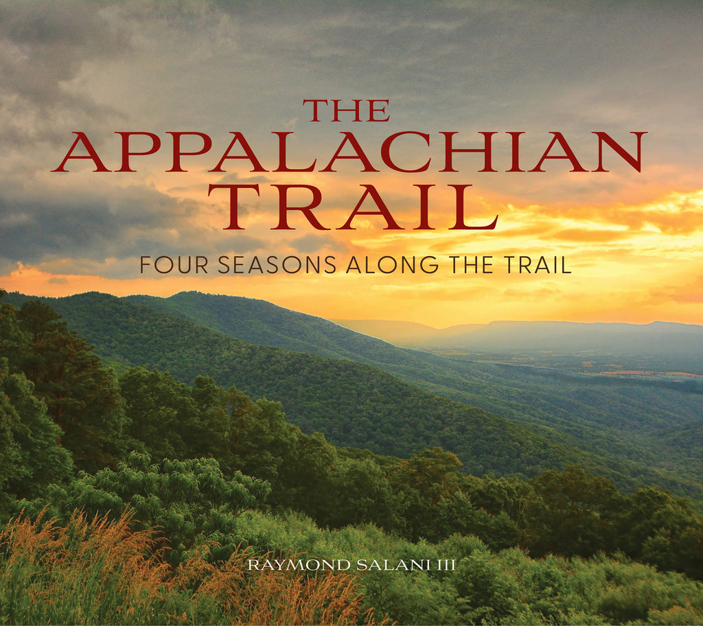 Benefits of Virtual Hiking - visual representation
