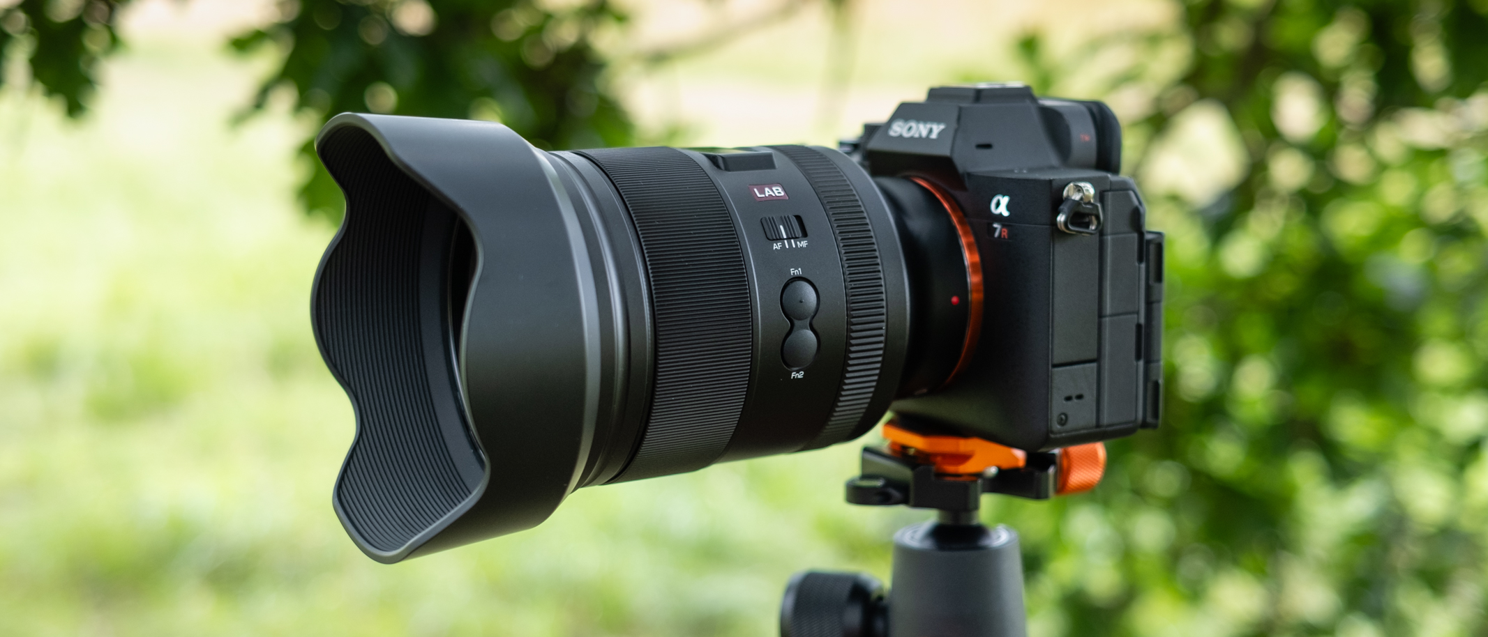 Long-Term Durability and Warranty Considerations - visual representation