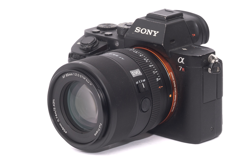 Autofocus and Manual Override: Practical Considerations - visual representation