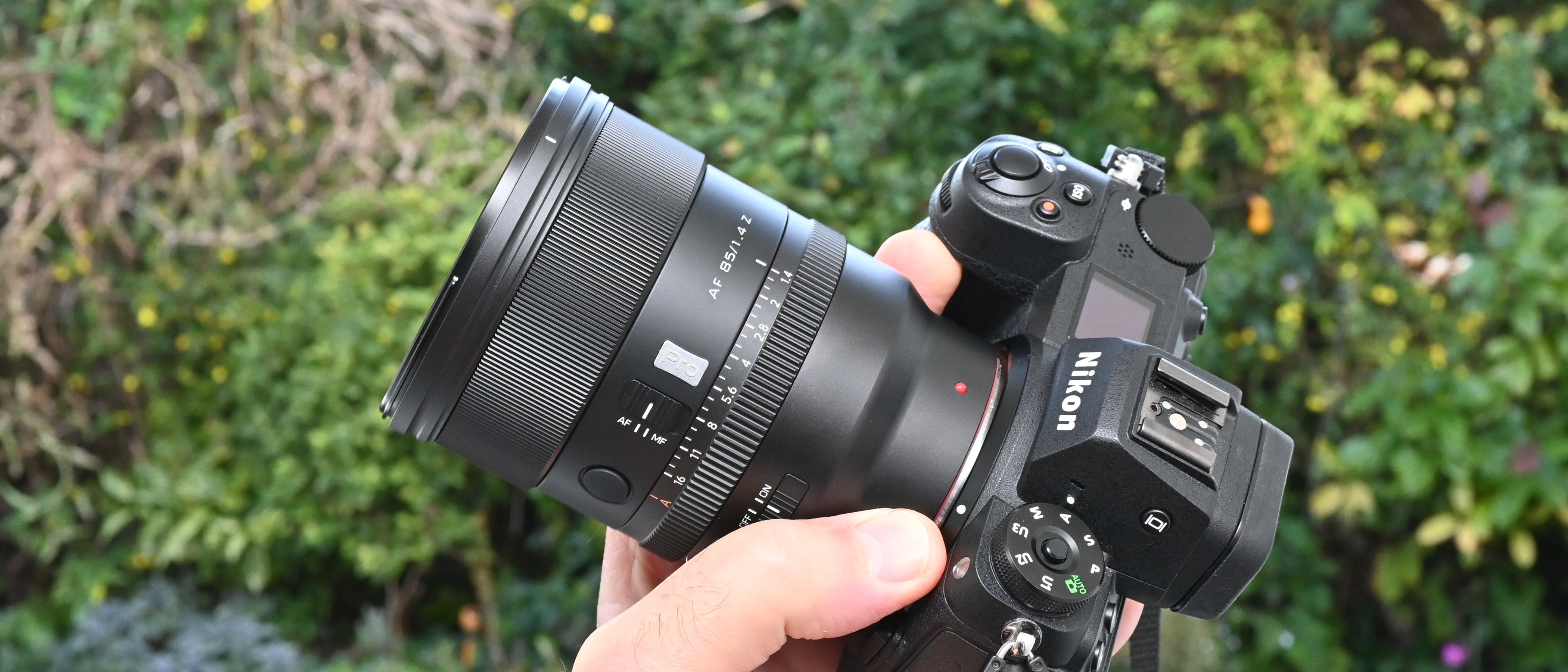 Real-World Portrait Testing - visual representation