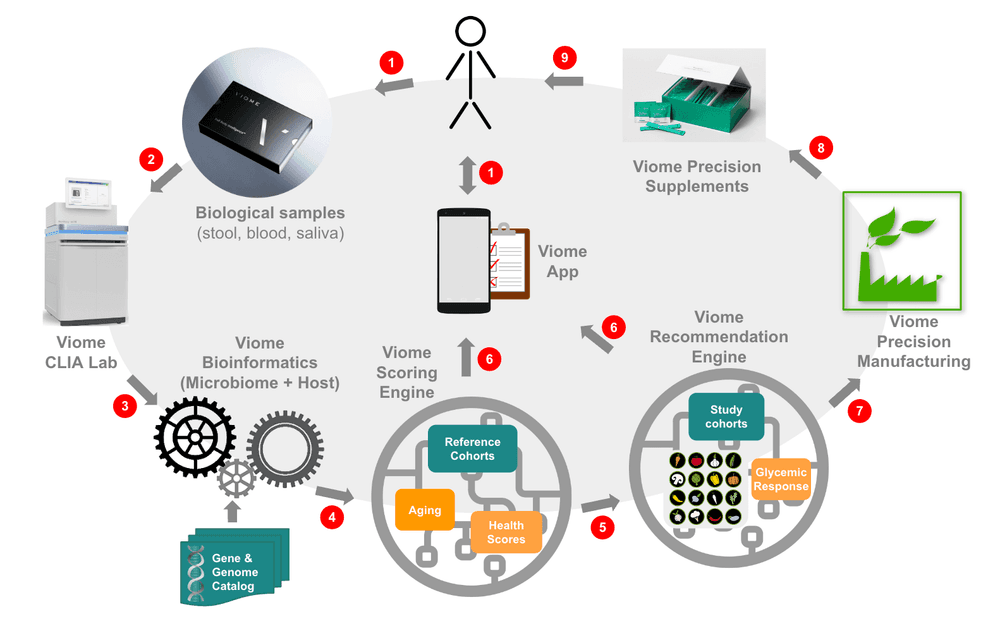 How the Viome Test Actually Works: The Collection Process - contextual illustration
