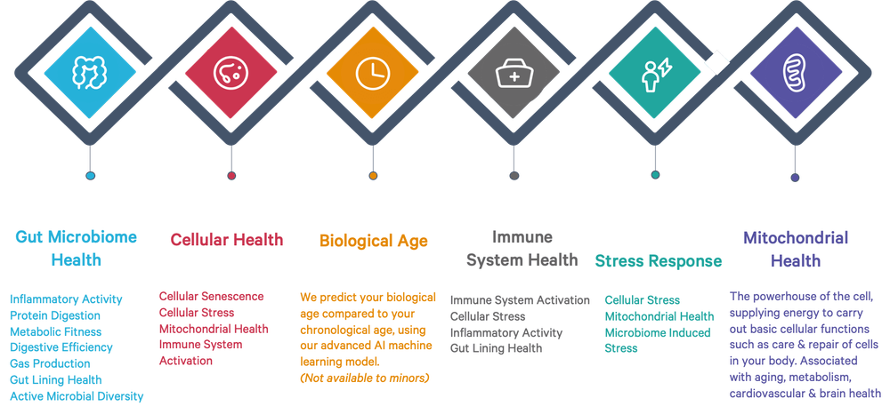 The Dashboard Catastrophe: Information Overload Without Context - contextual illustration