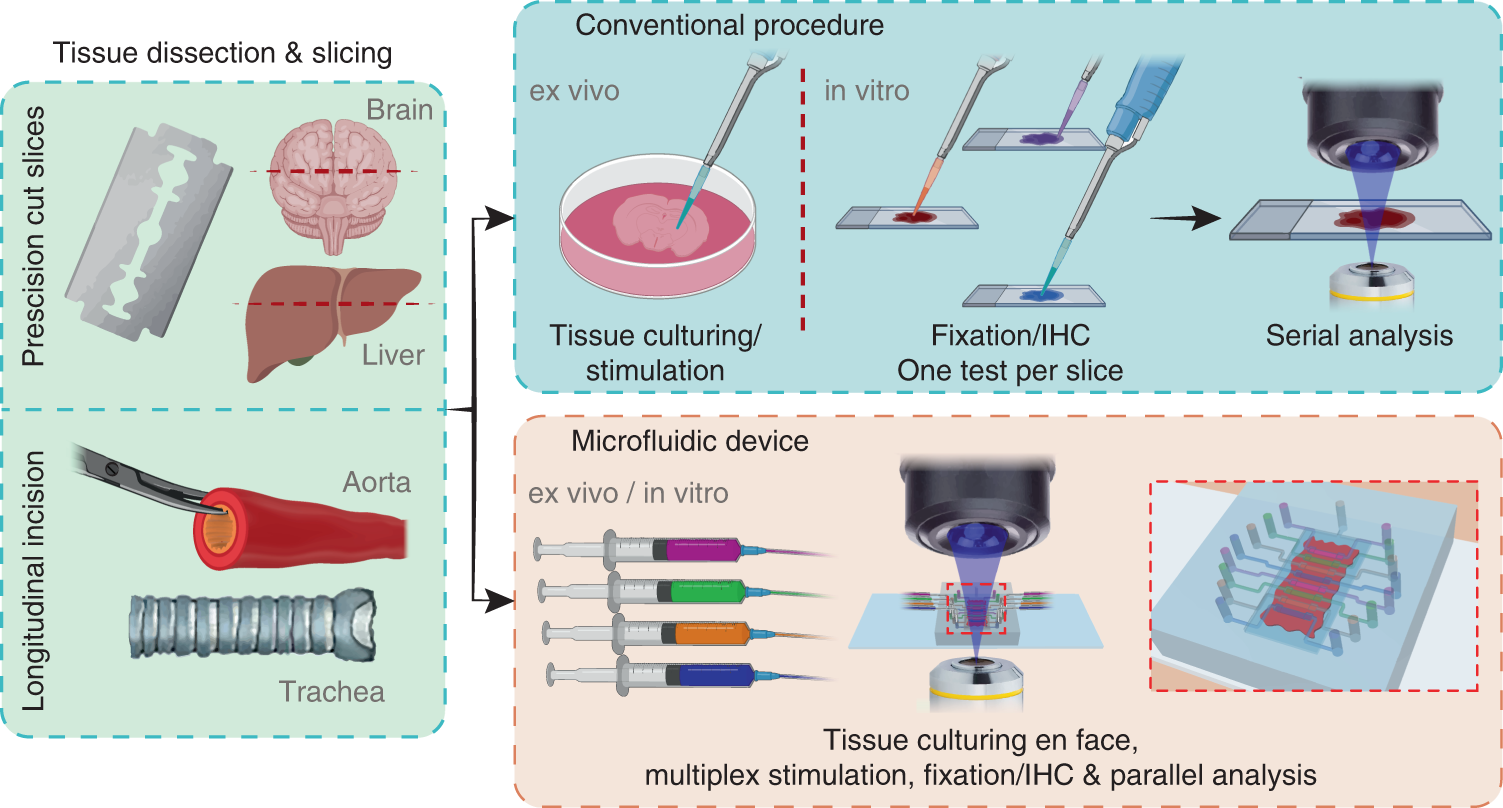 The Biomedical Engineering Behind a Pad That Thinks - contextual illustration