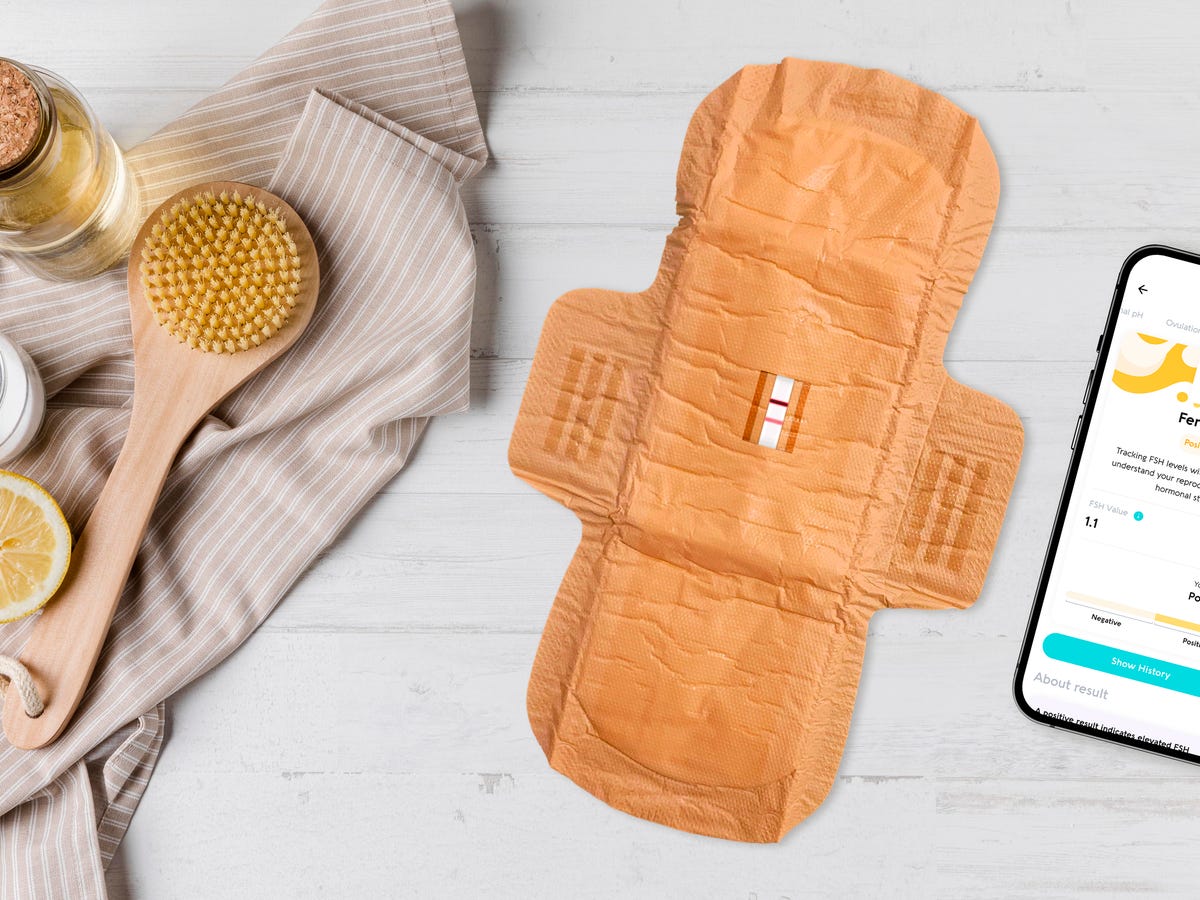 The Rollout Strategy: Early Access, Research Partnerships, and Staged Launch - visual representation