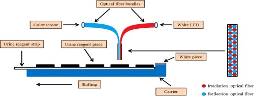 Battery Life and Hardware Specifications - visual representation