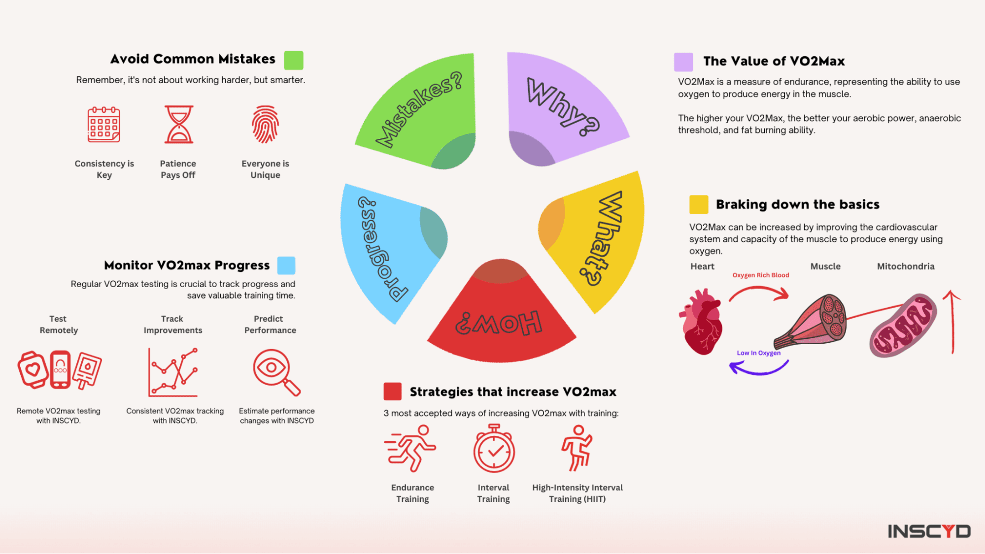 The Science Behind VO2 Max: What It Actually Tells You - contextual illustration
