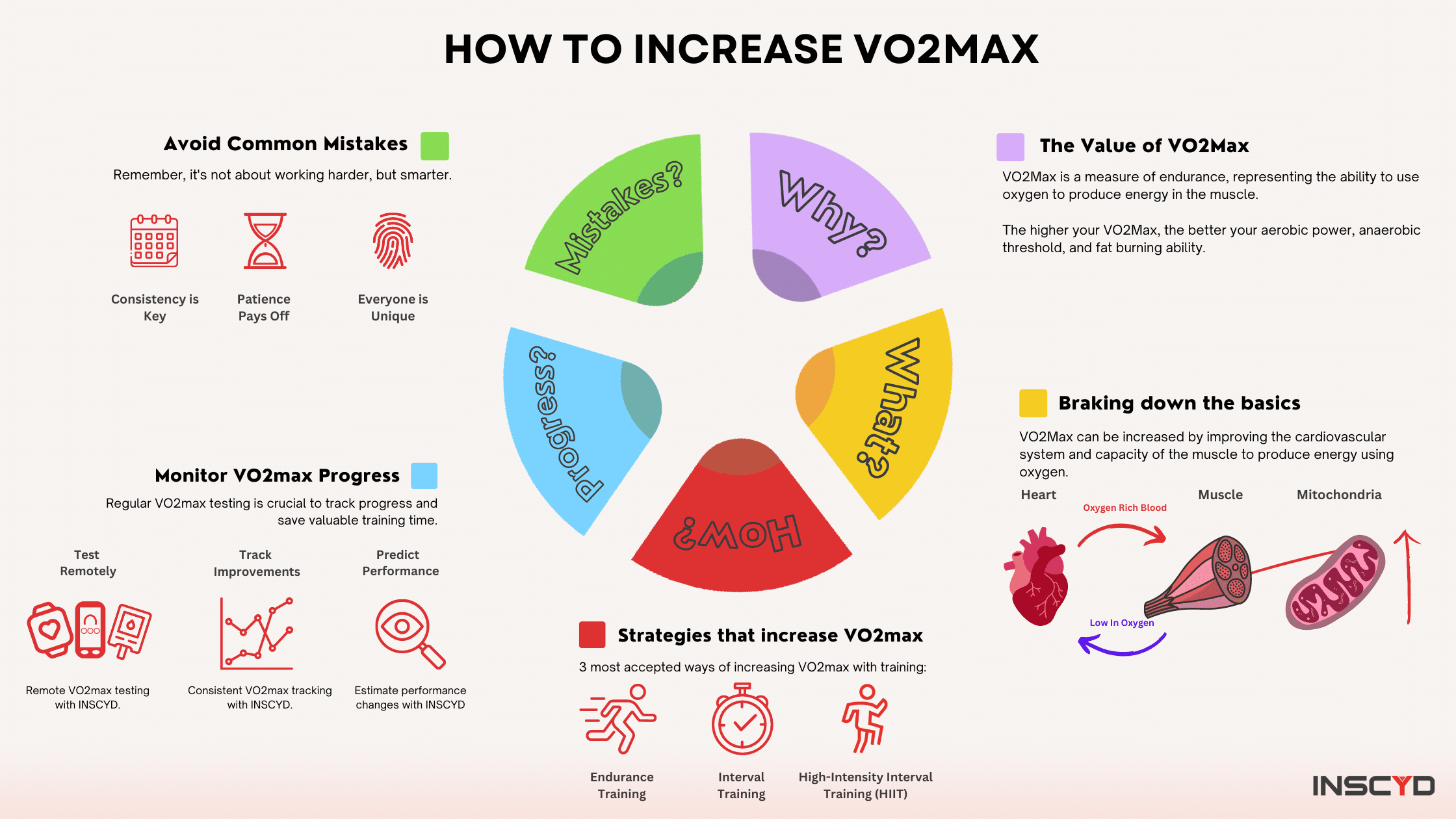 Steady-State Cardio: The Tortoise Approach to VO2 Max - visual representation