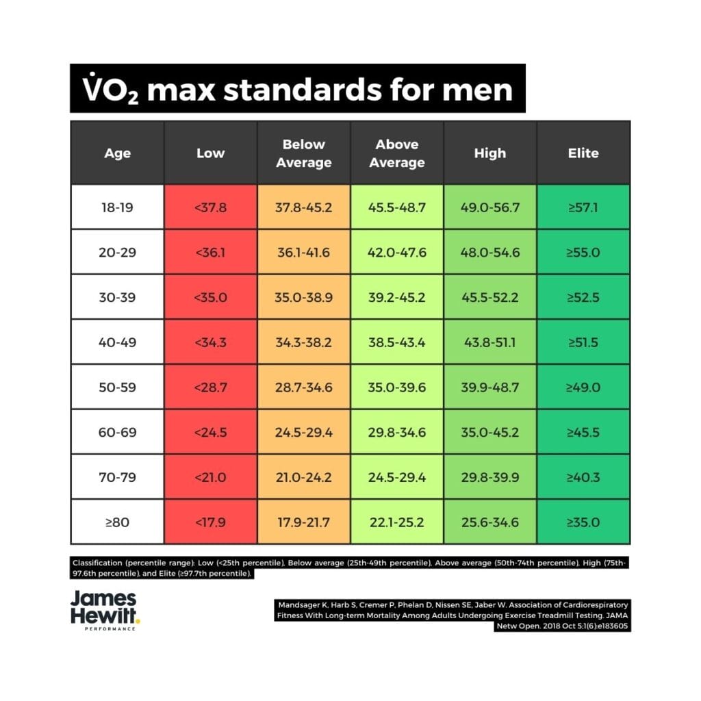 Nutrition and Recovery: Supporting Your VO2 Max Gains - visual representation