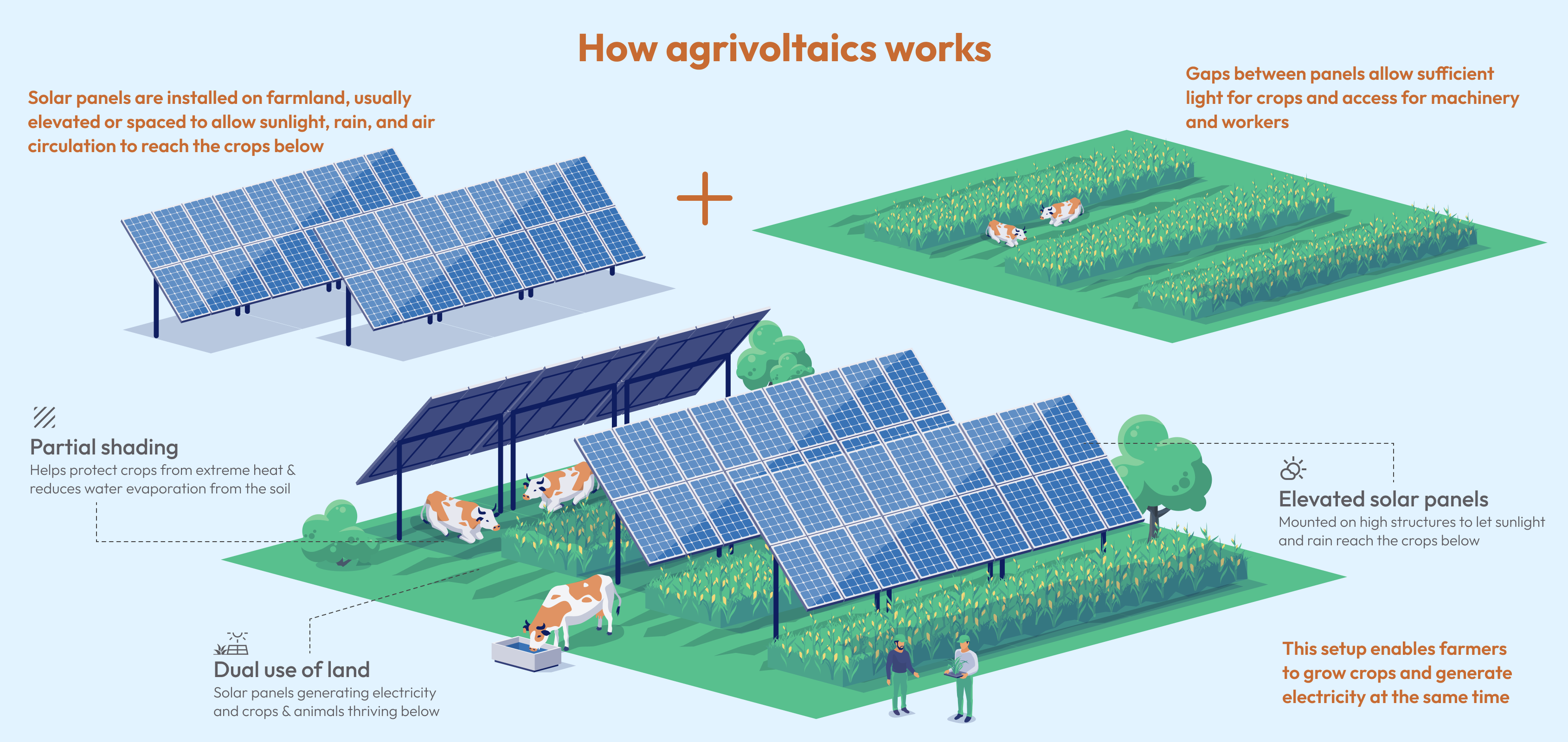 The Rise of Agrivoltaics - contextual illustration