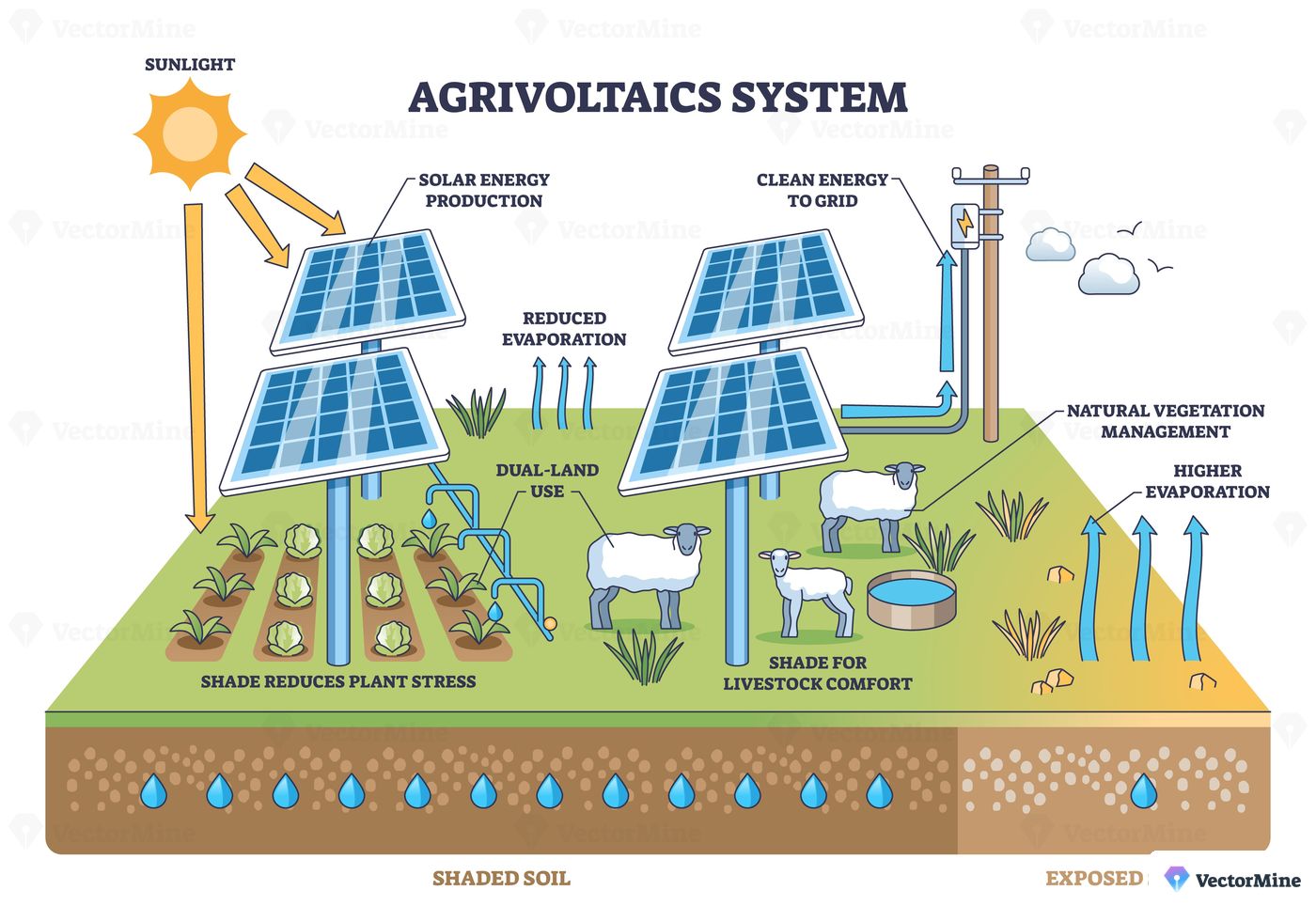 Technical Aspects of Agrivoltaics - contextual illustration