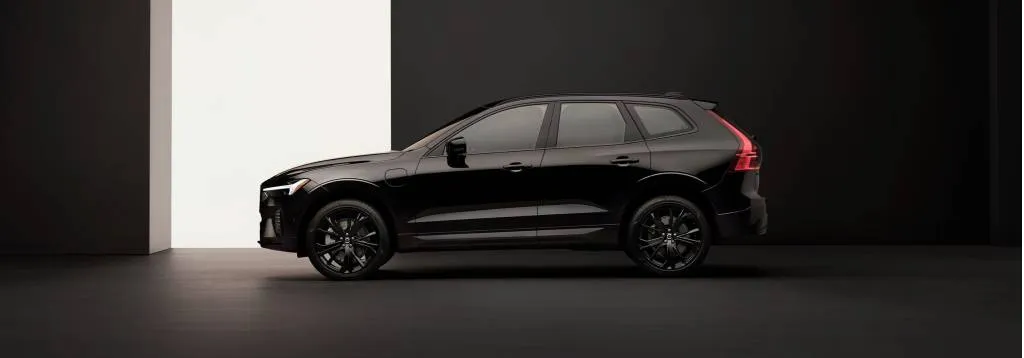 The Broader Implications for the EV Market - visual representation