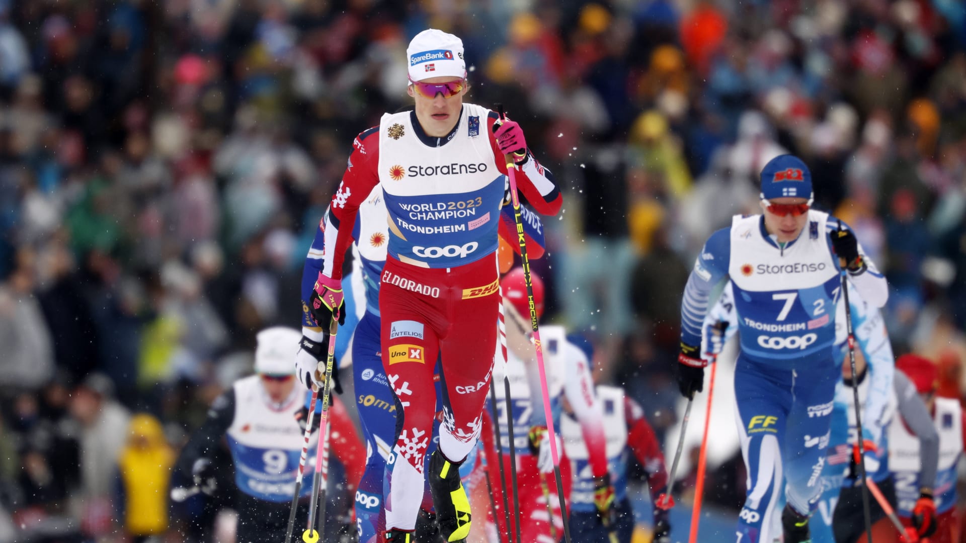 Introduction: Your Complete Guide to Free Cross-Country Skiing - contextual illustration