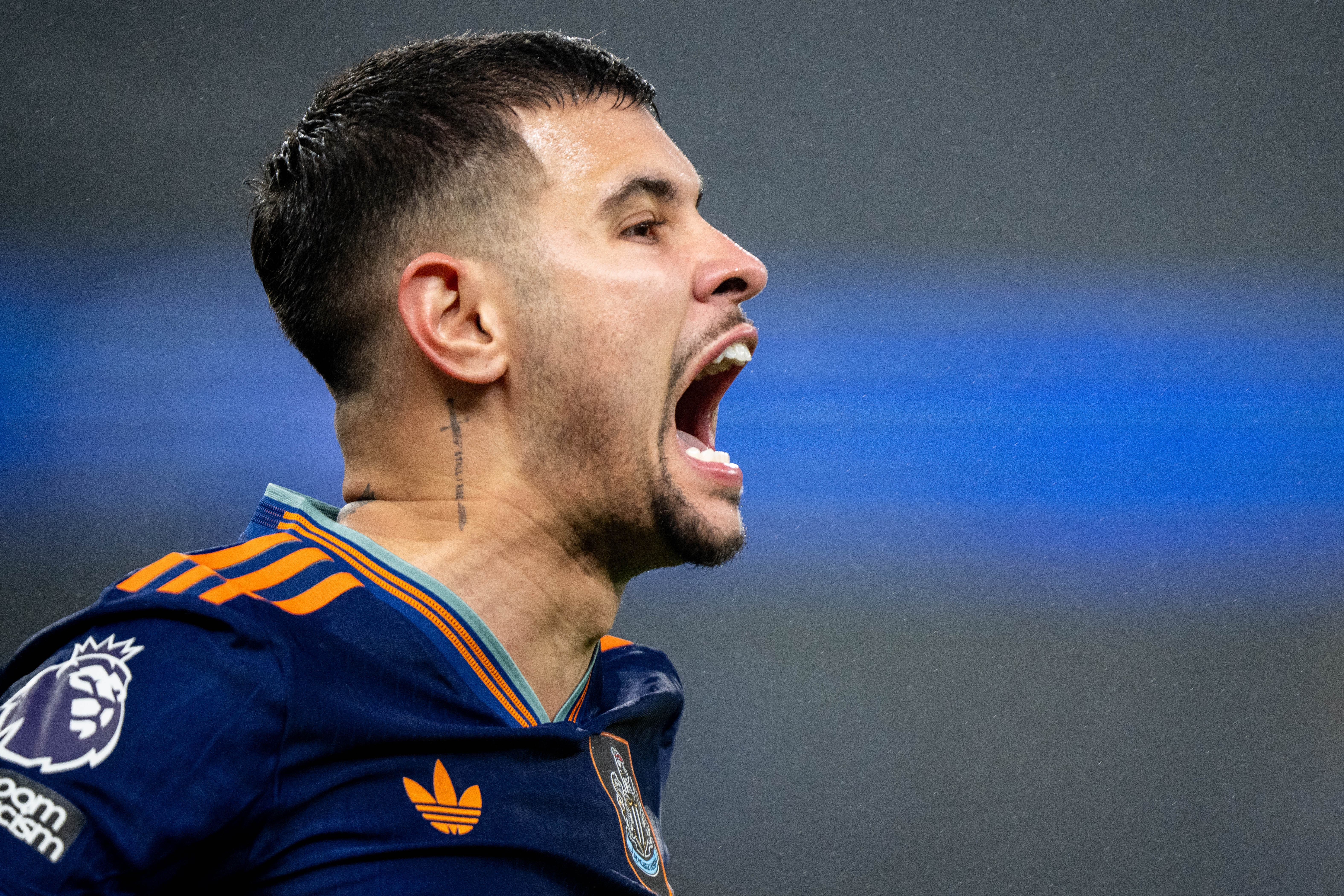 Setting Up Match Day Viewing: Complete Step-by-Step Guide - visual representation