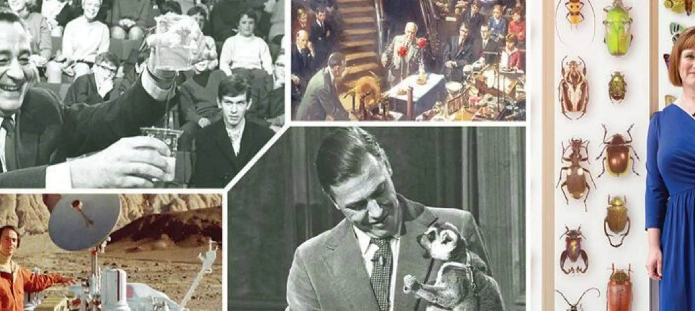 Making It a Family Event: Tips and Ideas - visual representation