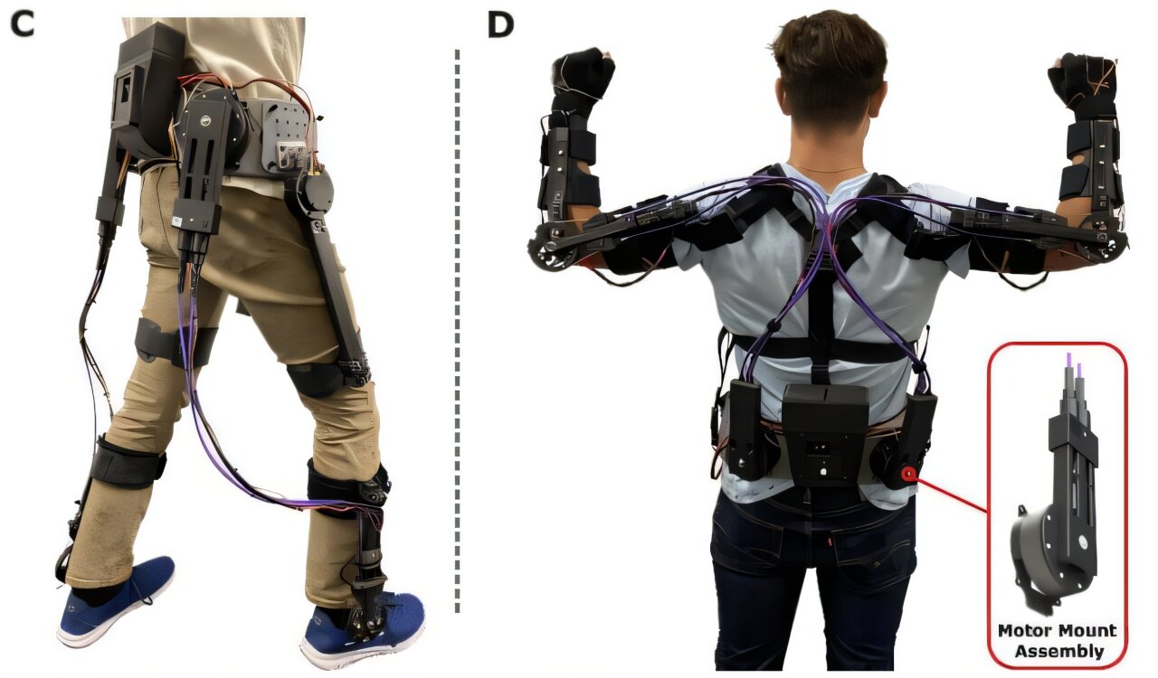 Real Performance: What 20% Exertion Reduction Actually Feels Like - visual representation