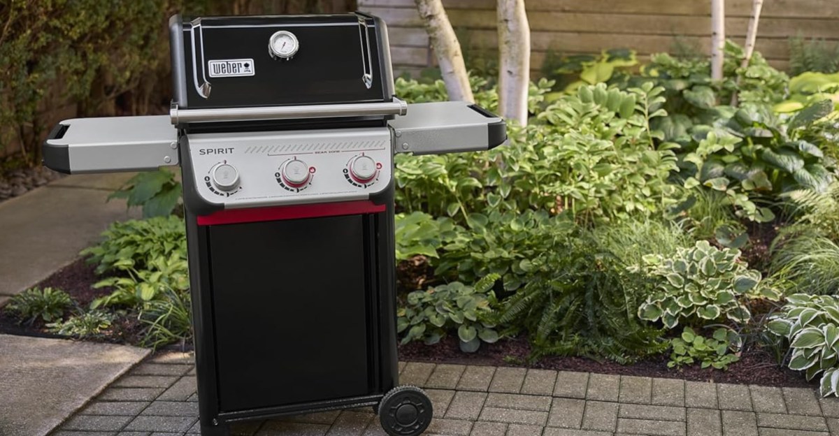 Weber marks down grills and griddles to their best prices ever for July 4th | The Verge