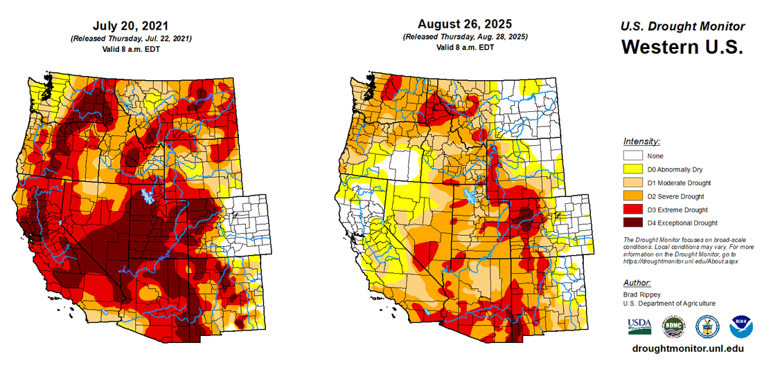 Wildfire Season Outlook and Preparation - visual representation