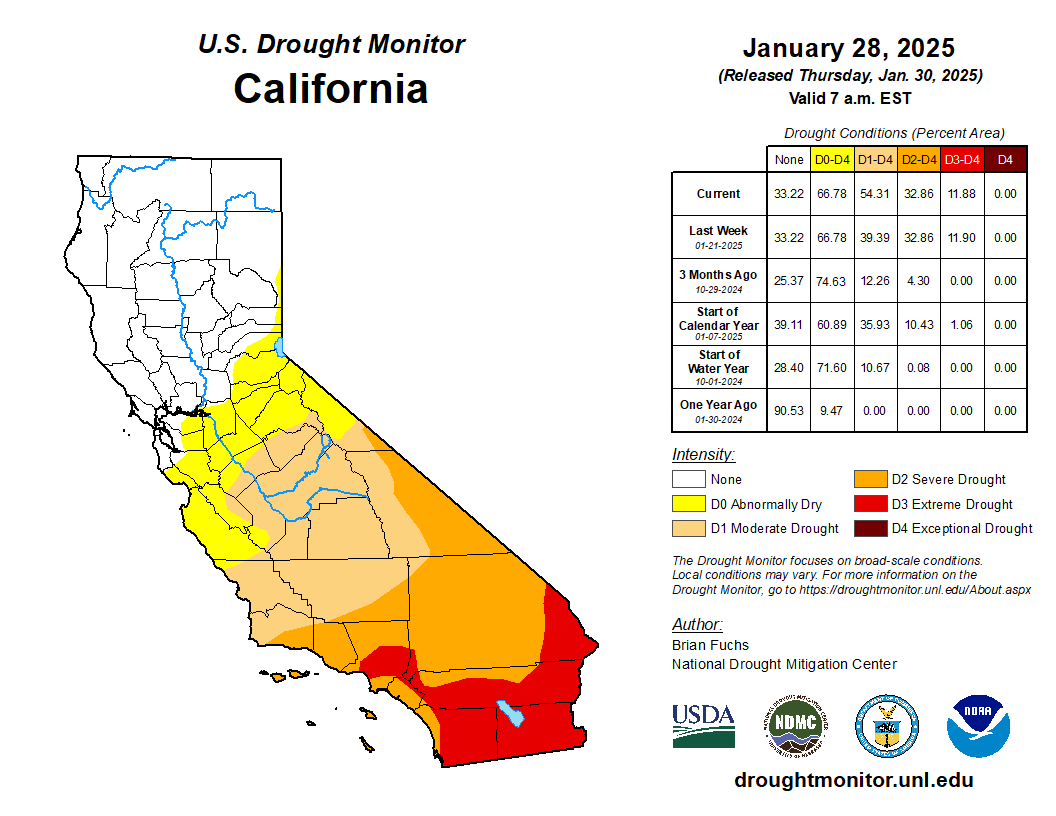 Looking Ahead: 2026 and Beyond - visual representation