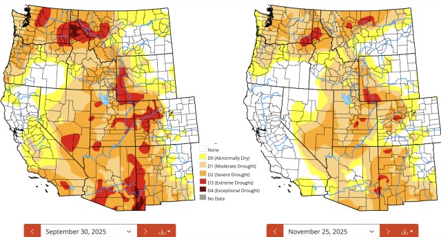 Conclusion: The Hard Choices Ahead - visual representation