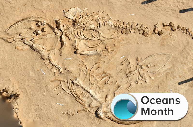 The Larger Story - visual representation