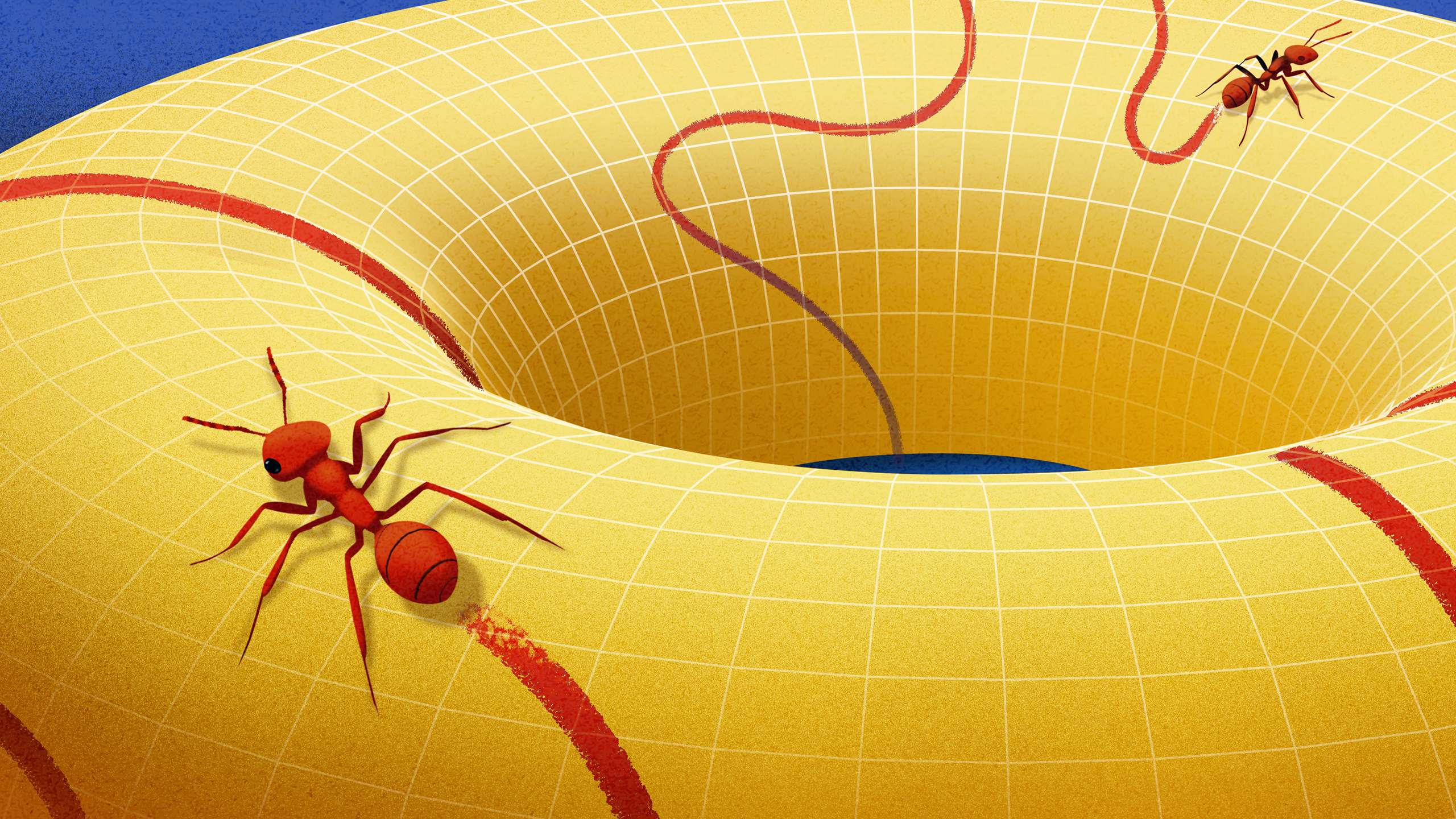 Modern Applications: Manifolds in the Real World - visual representation