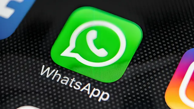 Conclusion: Toward a Regulated Ecosystem - visual representation