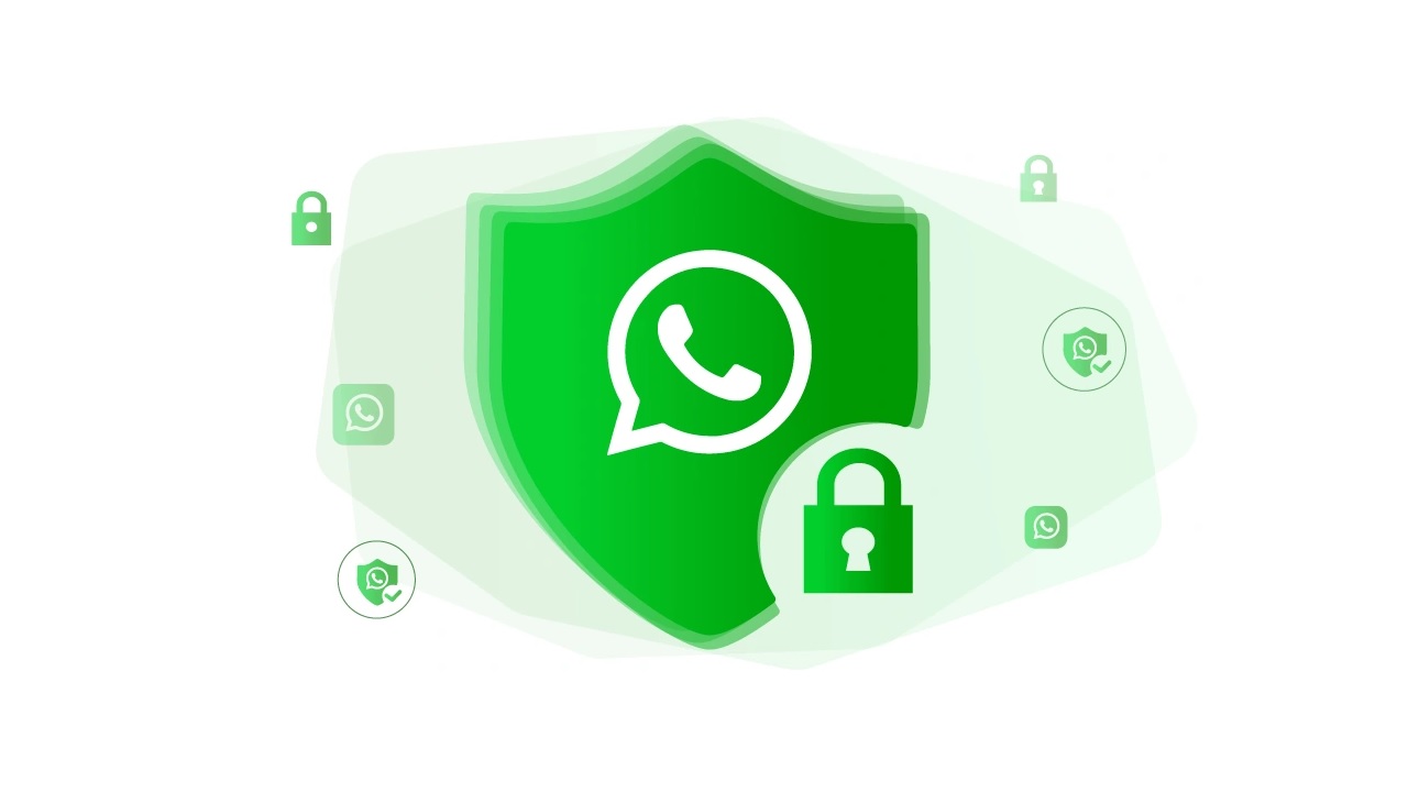 Common Misconceptions About the Feature - visual representation