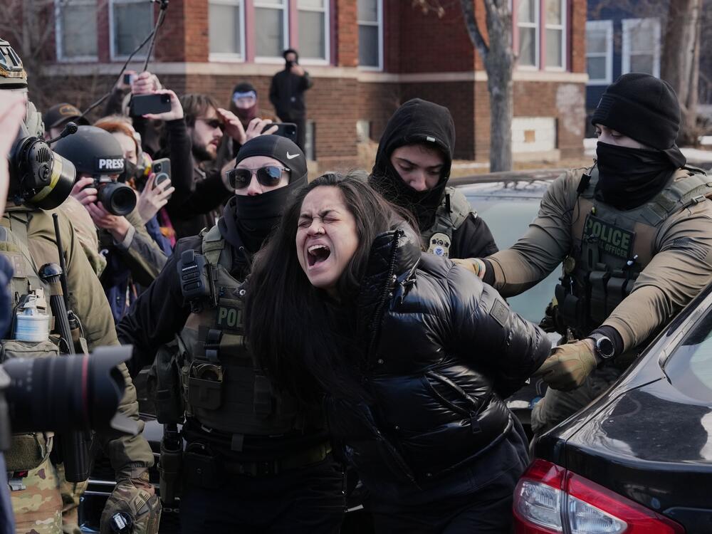 Legal Frameworks and Constitutional Questions - visual representation