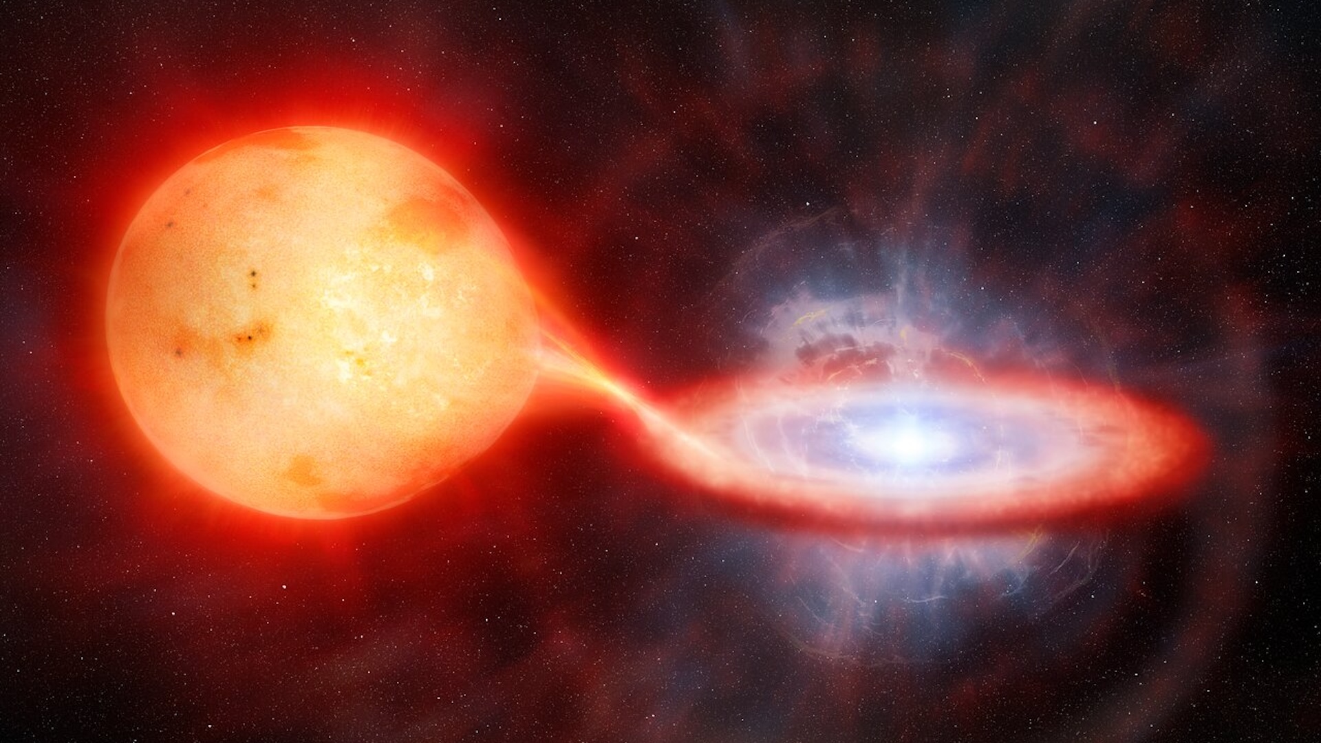 Binary Evolution and the Future of Nova Studies - visual representation