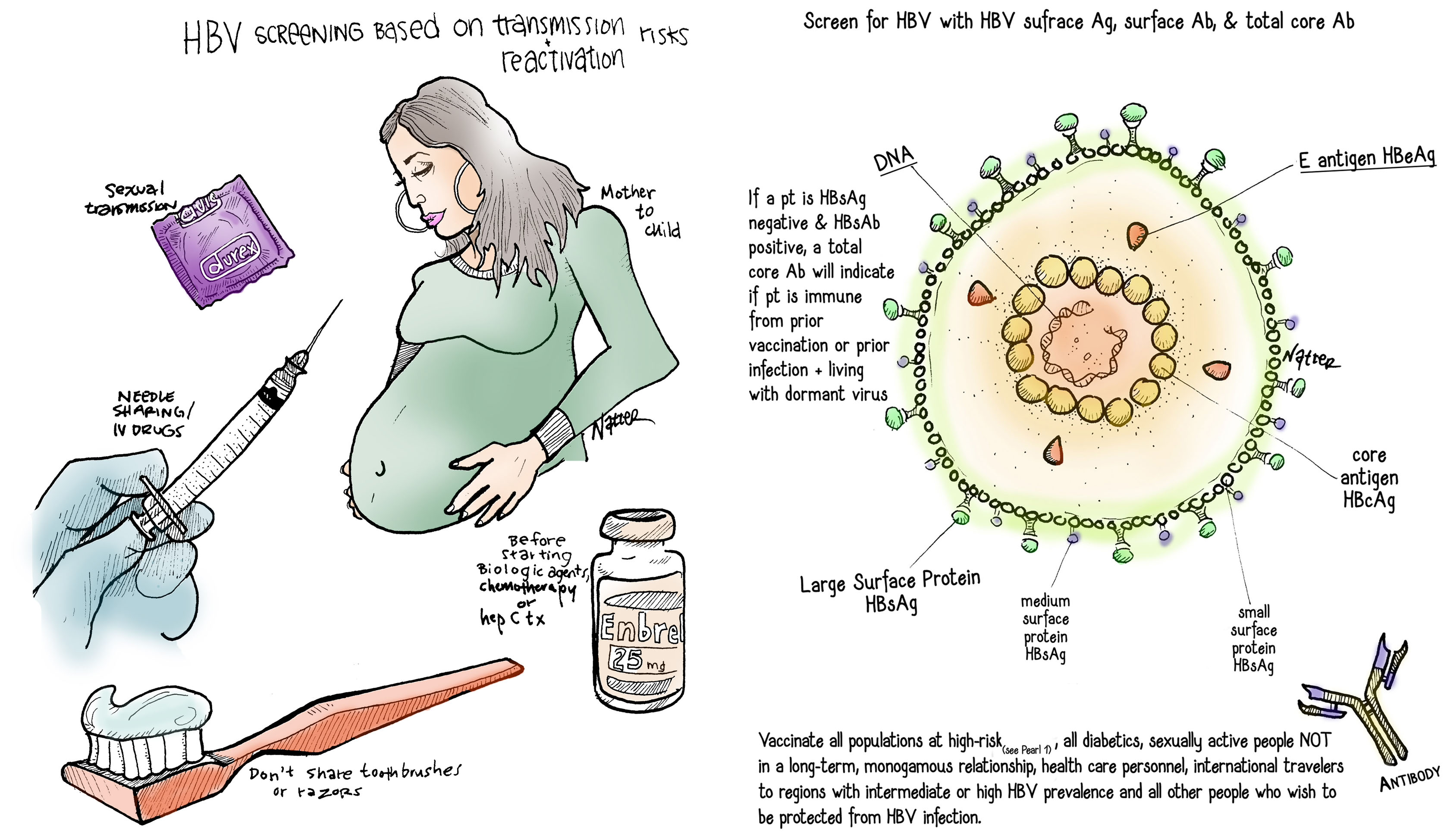 Understanding Hepatitis B and Why Birth Doses Matter - contextual illustration