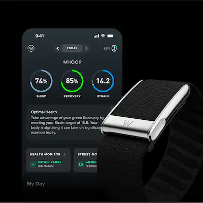 Future of Fitness Wearable Pricing - visual representation