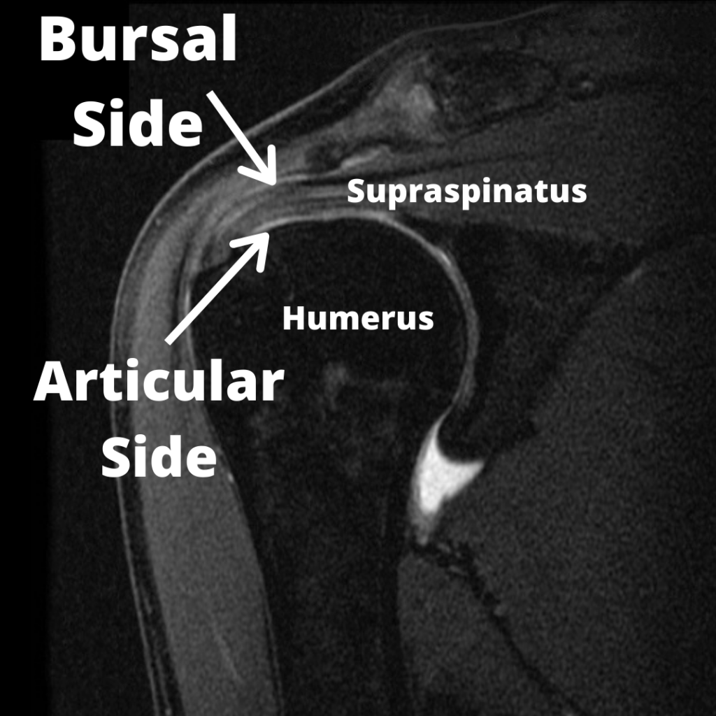 FAQ - visual representation