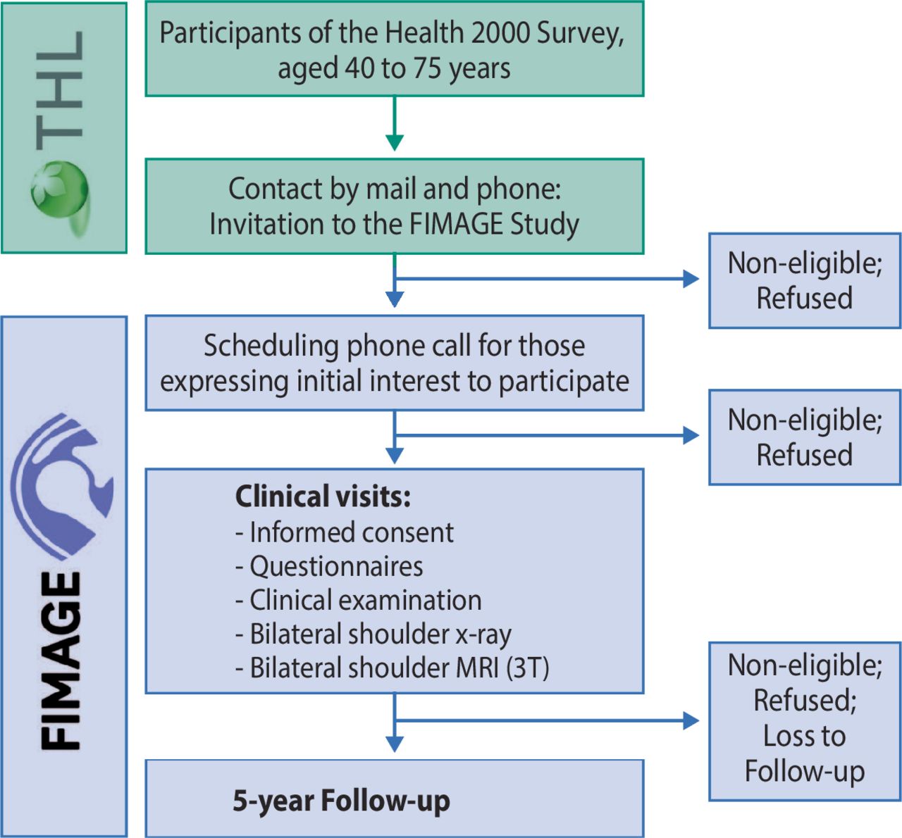 The Landmark Finnish Study: What Researchers Actually Found - contextual illustration