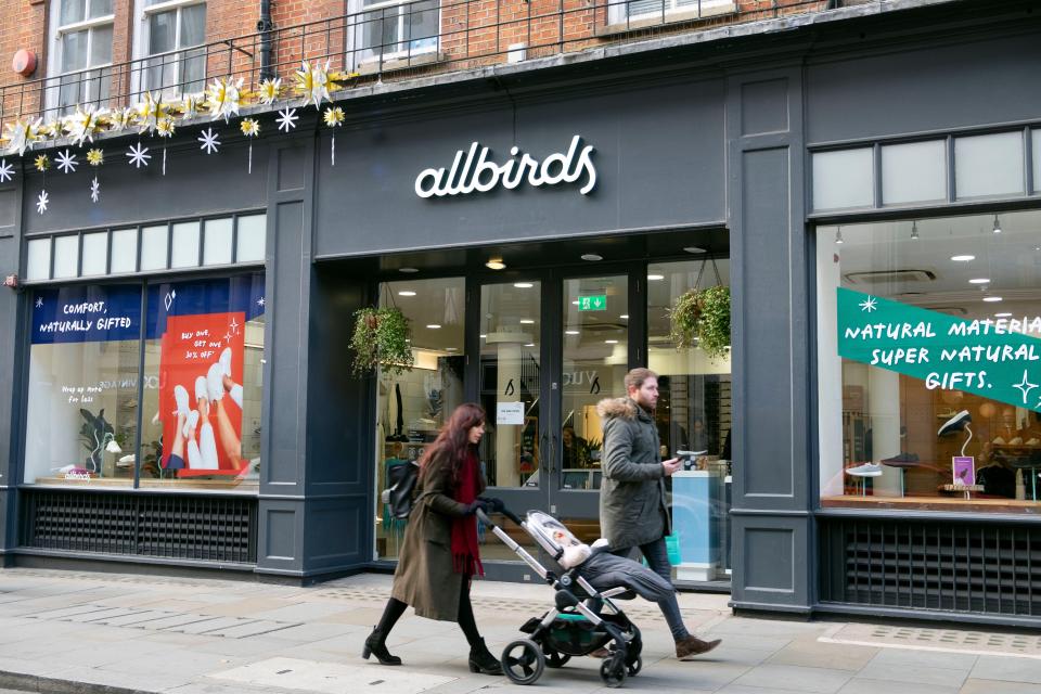 Allbirds' Remaining Footprint: Four Stores and the Online Business - visual representation