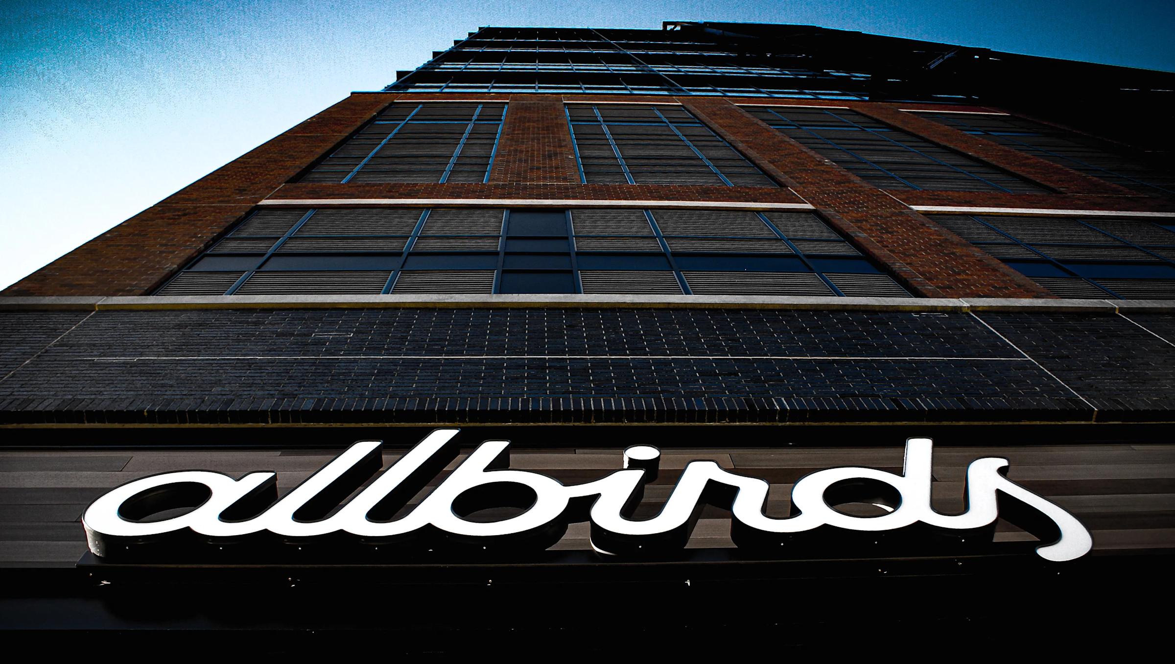 Comparing Allbirds to Other Failing DTC Brands - visual representation