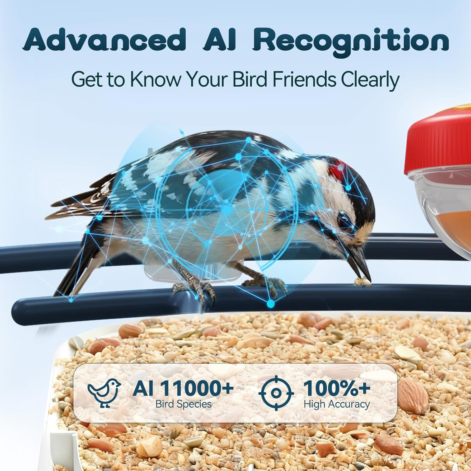 Benefits of AI-Powered Bird Feeders - contextual illustration