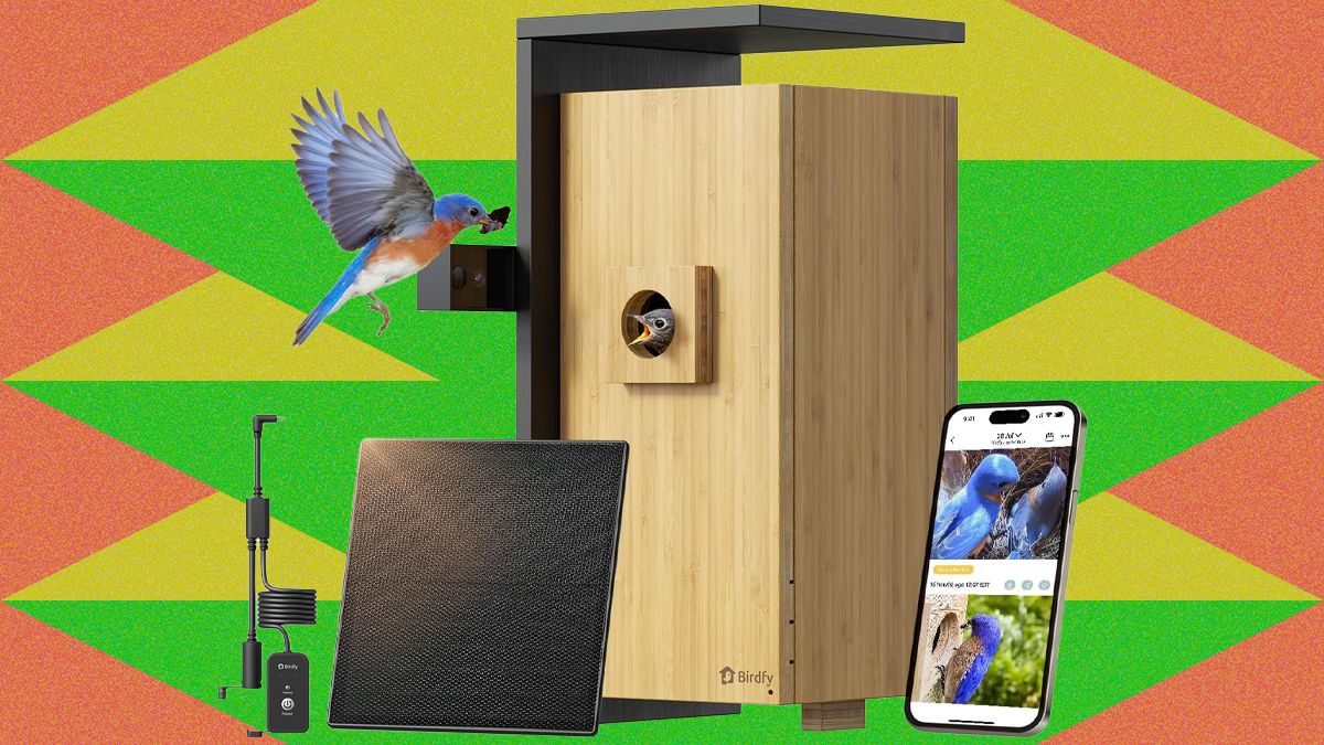 Future Trends in AI Birdwatching - visual representation