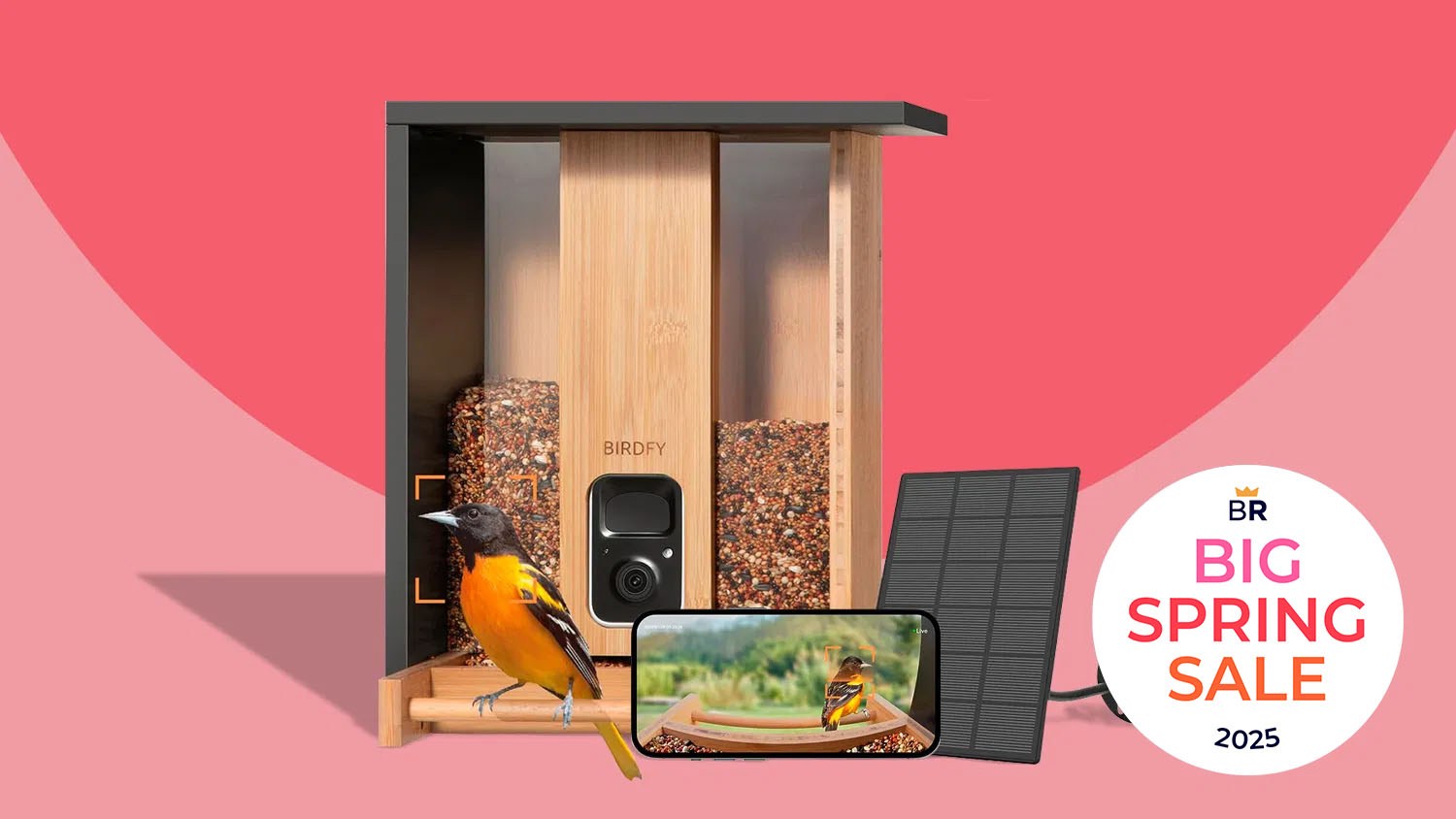 Conclusion - visual representation