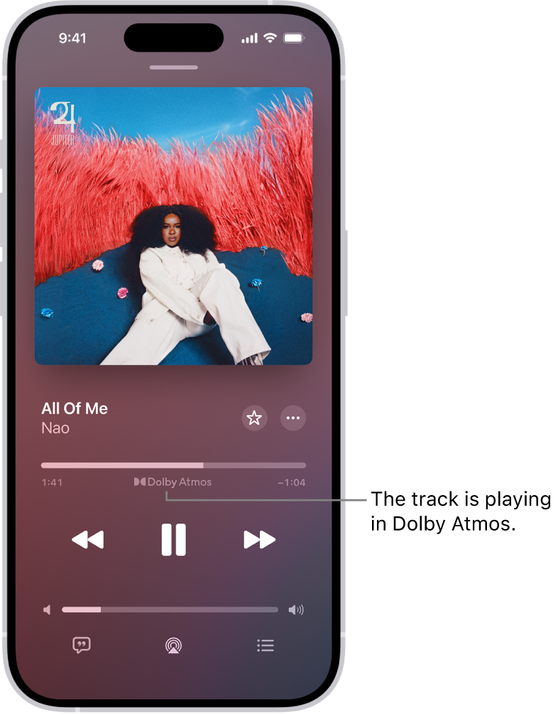 Features That Make Apple Music Stand Out - visual representation
