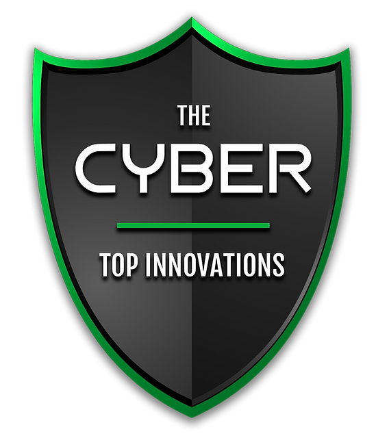 Recommendations for CIOs - visual representation