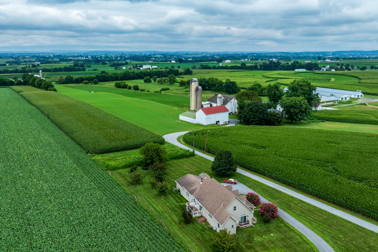 The Long-Term Picture - visual representation