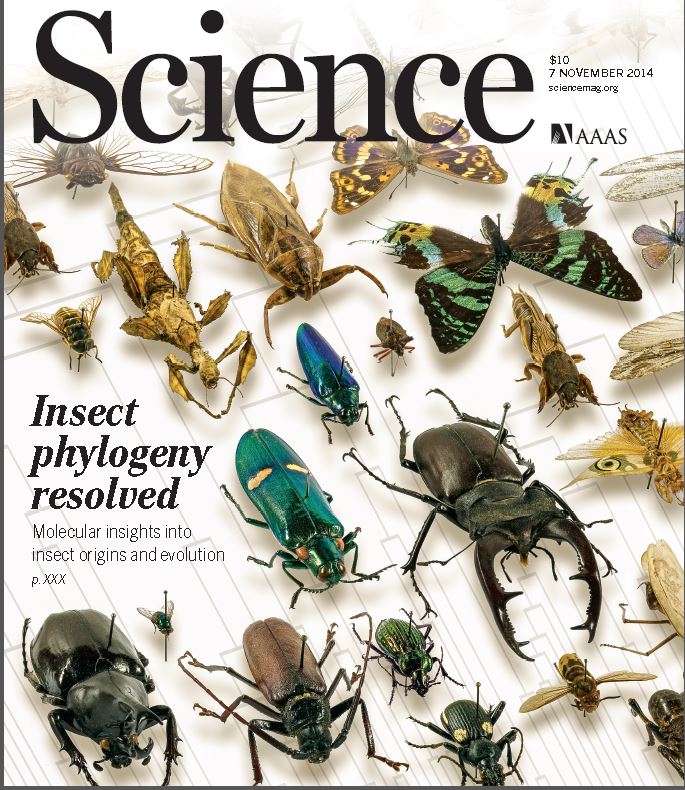Recommendations for Researchers - contextual illustration